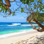 Caribbean naturist resort