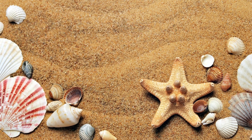 La Spiaggia del Villaggio Naturista di Cap d’Agde