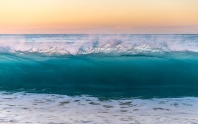 Servizi a Cap d’Agde